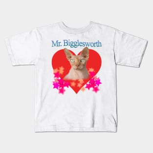 Mr. Bigglesworth (Dr Evils Cat) Tribute Kids T-Shirt